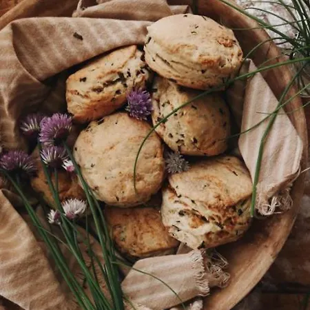 Κατάλυμα σε φάρμα Ca' Salva Rustic Charme Teolo