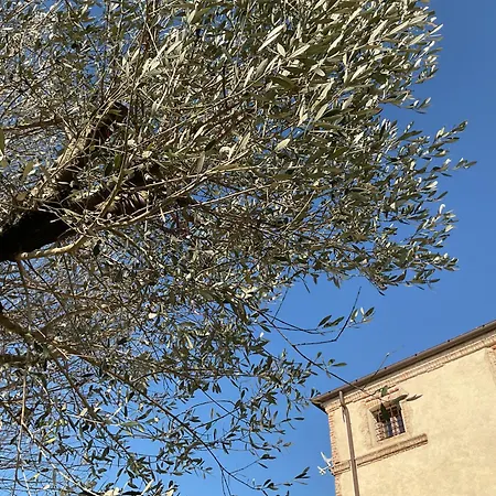 Κατάλυμα σε φάρμα Ca' Salva Rustic Charme Teolo