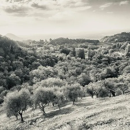 Alloggio per agriturismo Ca' Salva Rustic Charme Teolo