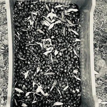 Ca' Salva Rustic Charme Teolo