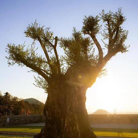 Ca' Salva Rustic Charme