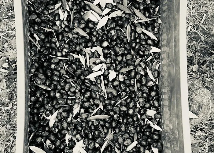 Ca' Salva Rustic Charme Teolo