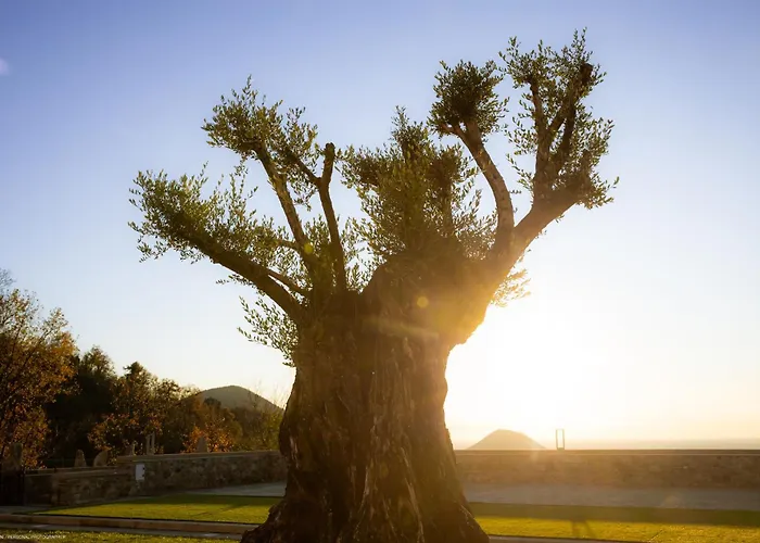 Ca' Salva Rustic Charme