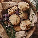 Feriegård Ca' Salva Rustic Charme Teolo