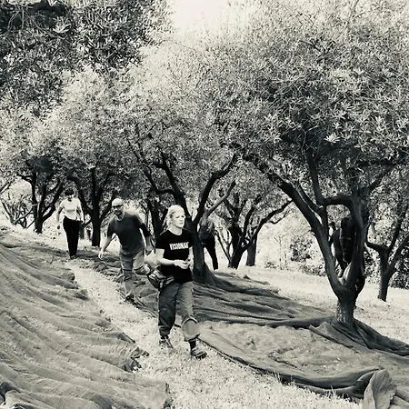 Ca' Salva Rustic Charme Teolo