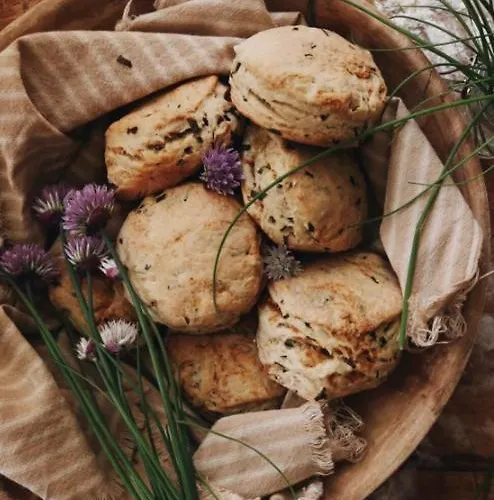 Farma Ca' Salva Rustic Charme Teolo