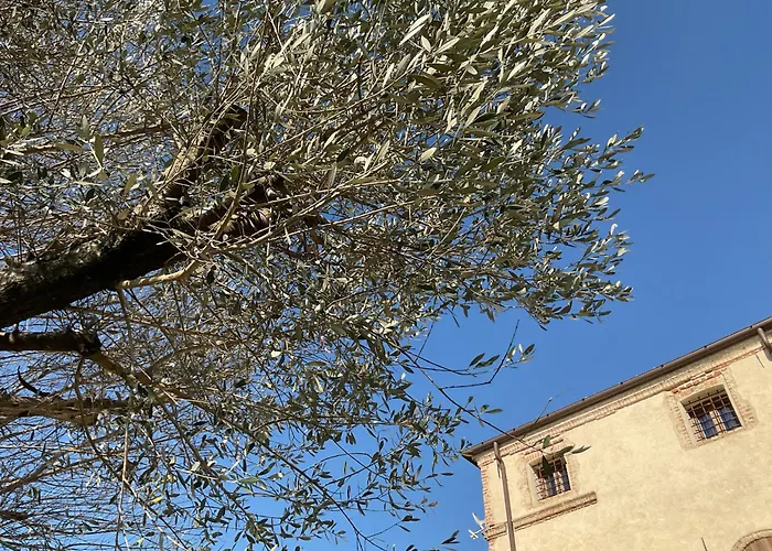 Agroturismo Ca' Salva Rustic Charme Teolo