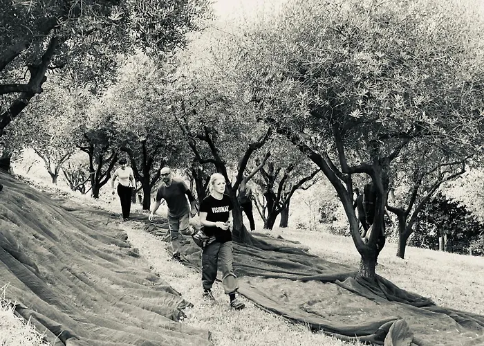 Ca' Salva Rustic Charme Teolo